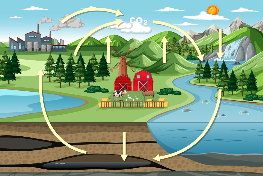 Carbon cycle diagram