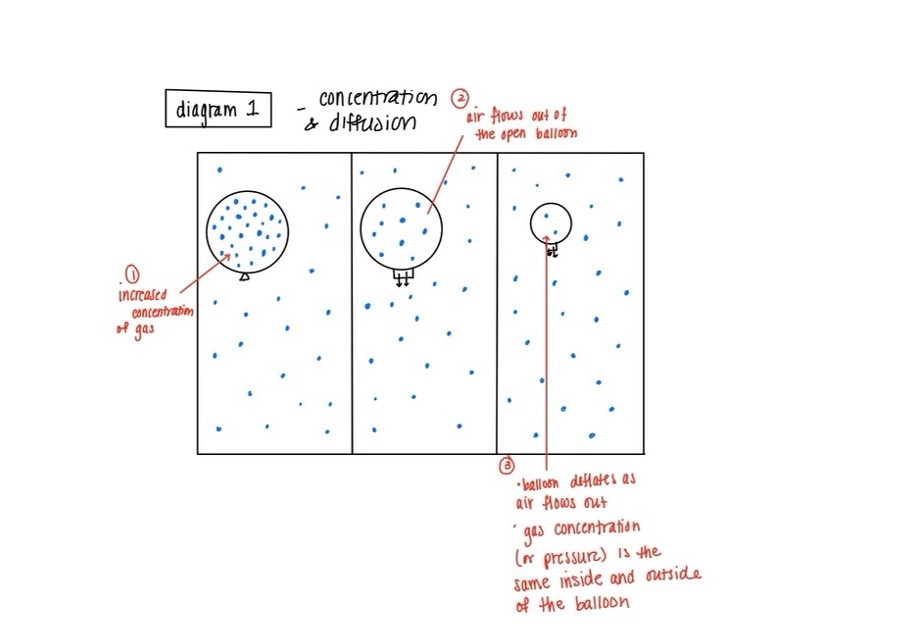 osmosis example 1